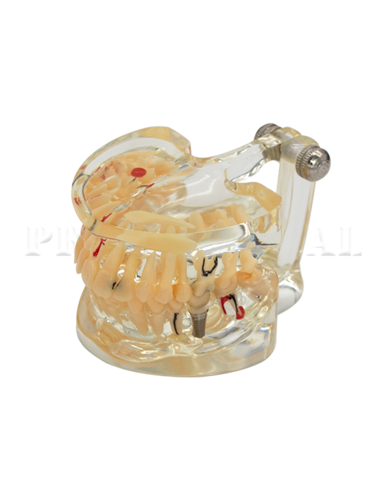 1-171-A0016-171-A0016 (2).png